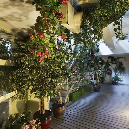 Gallery & Nisantasi 3*